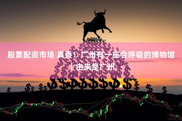 股票配资市场 真香！广州有一座会呼吸的博物馆｜由来是广州